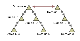A two-way, transitive trust path connects domains